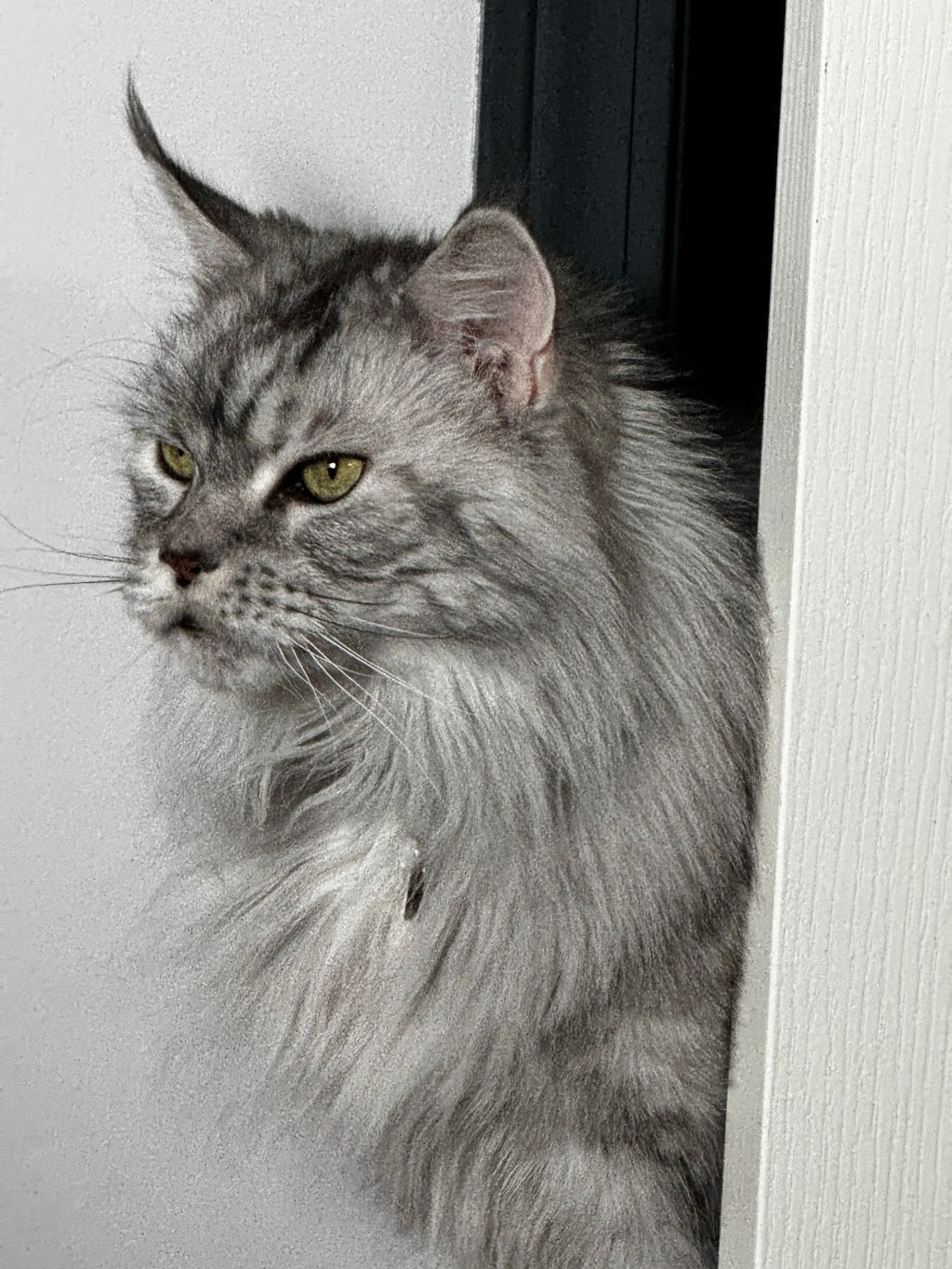 The Mysteries of&nbsp;Taco